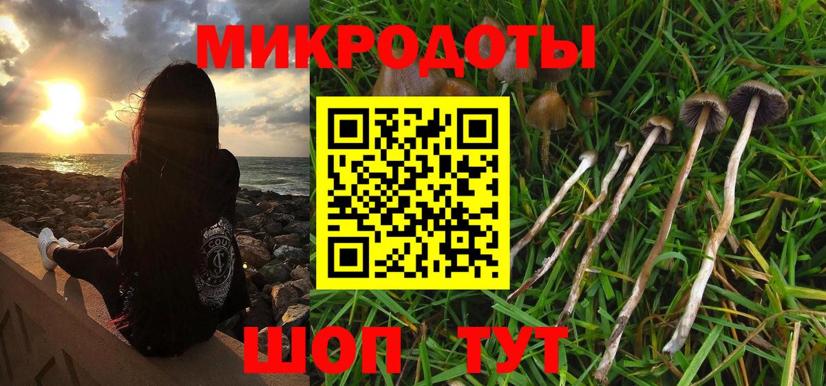Псилоцибиновые грибы GOLDEN TEACHER  Вход с VPN  Нефтекумск 