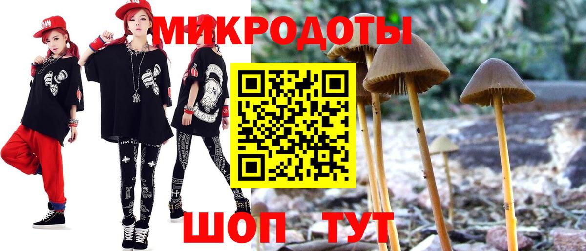 Галлюциногенные грибы Psilocybine cubensis Нефтекумск